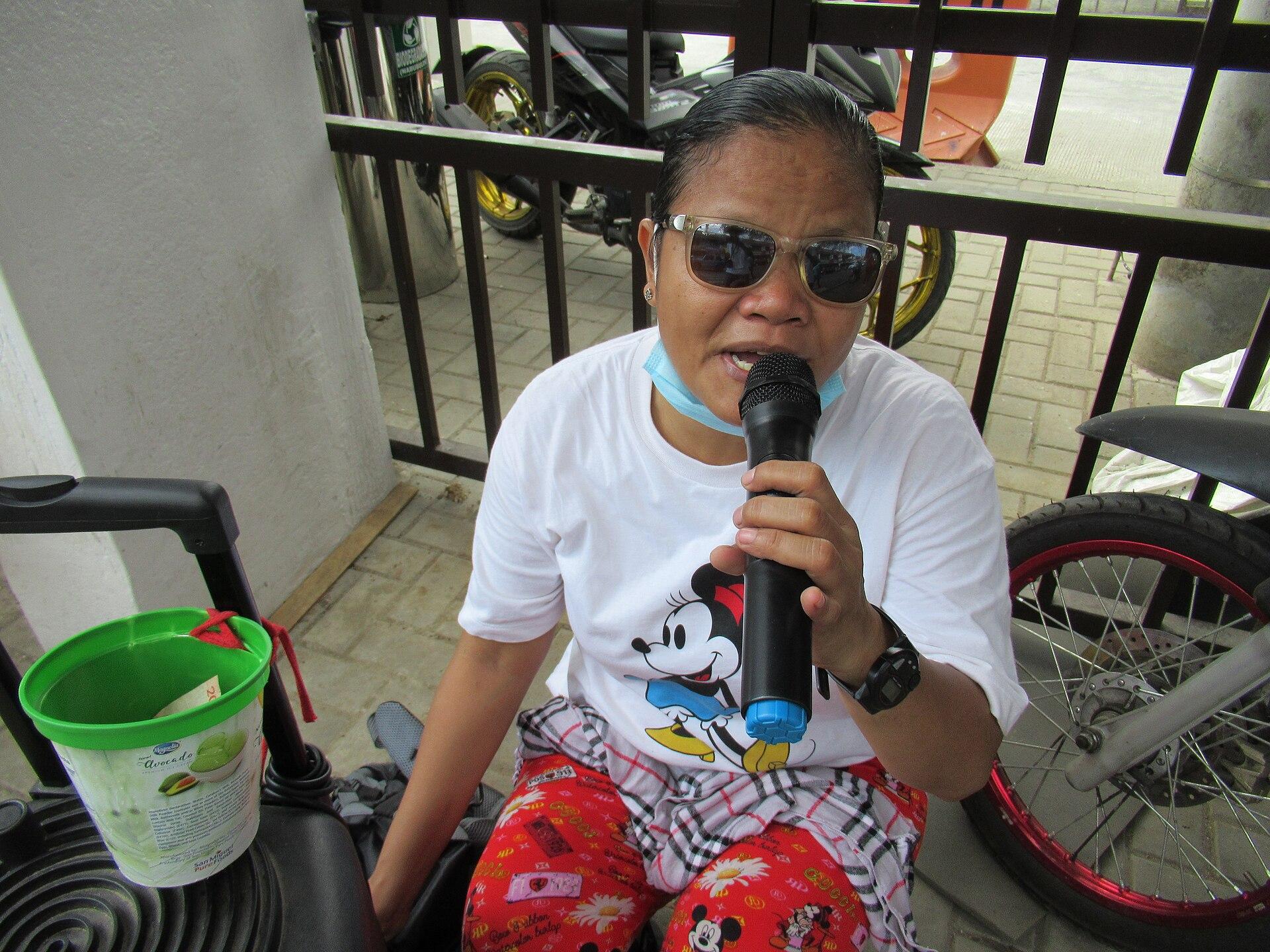 Singer holding a karaoke microphone